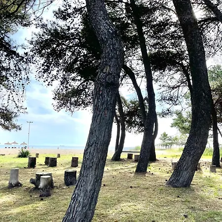 Brand New * Durres